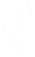 Serponado Logo